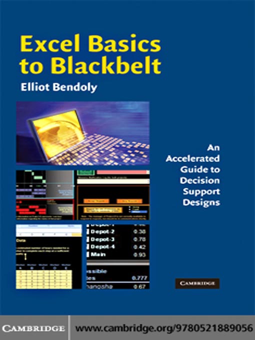 Title details for Excel Basics to Blackbelt by Elliot Bendoly - Available